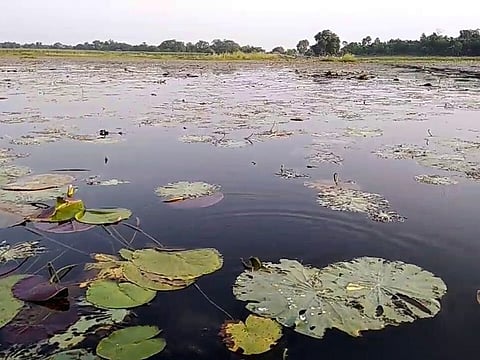 Kanwar lake, Asia’s largest freshwater oxbow lake, is facing the threat of running dry.