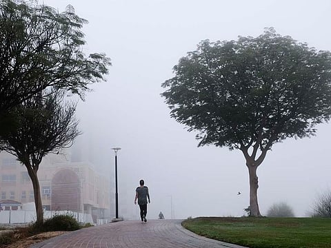 The National Air Quality Agenda 2031 provides a general framework to lead and align federal and local government entities, as well as the private sector, to monitor and effectively manage air quality while reducing air pollution.