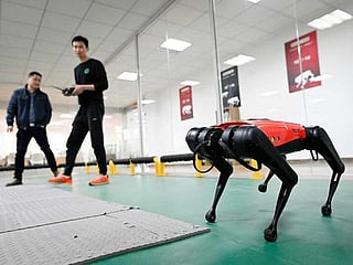 Meet Alphadog: Chinese tech company develops robo-dogs