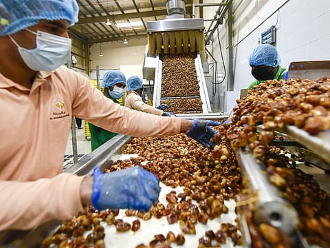 Dubai-based Al Barakah Dates has announced plans to expand its existing facility to become the world's biggest privately-owned date factory in Dubai Industrial City, the region's largest manufacturing and logistics hub. Ahmed Ramzan/ Gulf News