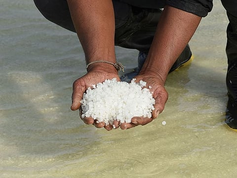 This picture taken on January 8, 2021 shows a labourer showing crystals of salt on a salt pan in the Little Rann of Kutch (LRK) region near Kharaghoda village, some 150 km from Ahmedabad.