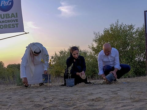 From left: Major Ali Saqar Sultan Alsuwaidi, President, Emirates Marine Environmental Group, Hiba Obaid Al Shehhi, Acting Director of the Biodiversity Department at MOCCAE, and Omar Channawi, CEO of P&G Middle East, East & West Africa and General Export Markets, during the inauguration of the Dubai Mangroves Forest at the Jebel Ali Wildlife Sanctuary on Monday.