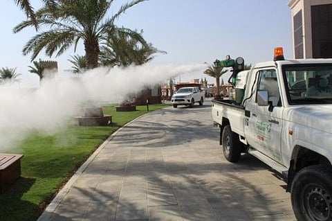 The authority’s pest control efforts in the first quarter of the year had been successful at preventing further infestation.