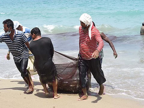Fishermen bring in their catch from the sea. UAE fisheries have become 10 times more sustainable in 2020 than in 2018.