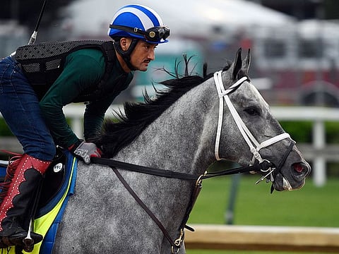 An exercise rider works out Kentucky Derby entry Essential Quality at Churchill Downs