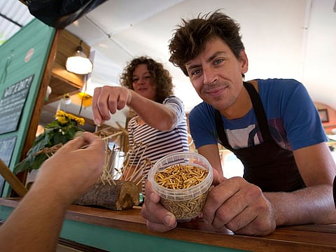 File photo: Microbar food truck owner Bart Smit holds a container of yellow mealworms during a food truck festival in Antwerp, Belgium.
