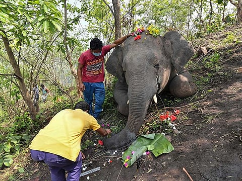 Villagers offer prayers to a dead wild elephant, suspected to have been killed by lightning, on a hillside in Nagaon district of Assam state on May 14, 2021.