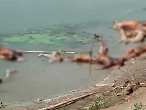 Dead corpses of people suspected to have died from COVID-19 found floating on India's Yamuna River.