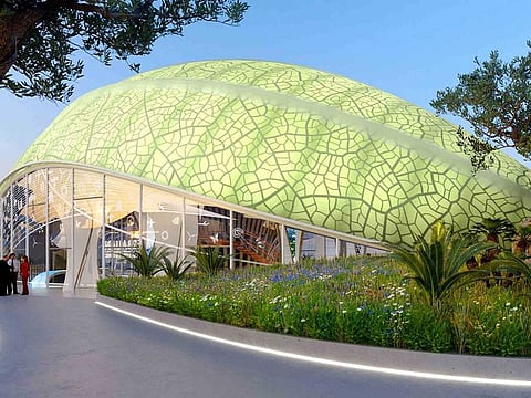 Turn over a new leaf at the Azerbaijan pavilion, when it runs from October 1, 2021 till March 31, 2022.