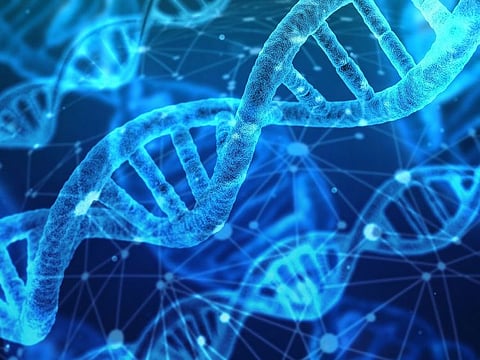 According to the researchers, the genetic traces could also reflect interesting details about the movement of people in the Middle East after major cultural transitions, such as the invention of agriculture, as well as desertification of the region in the past 6,000 years.