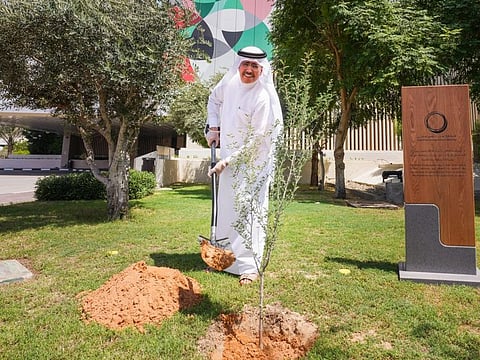 Dewa CEO and Managing Director Saeed Mohammad Al Tayer led a Ghaf tree-planting initiative, with other senior Dewa officials also participating.