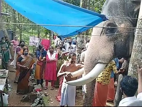 Screengrab from video posted on Twitter by Parveen Kaswan.