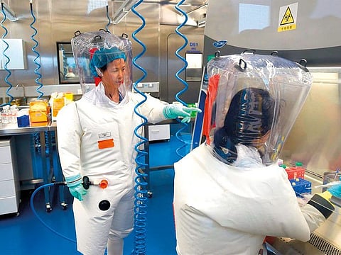 Shi Zhengli (left) in a lab of the Wuhan Institute of Virology. Shi has denied these accusations and now finds herself defending the reputation of her lab and, by extension, that of her country.