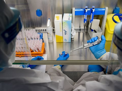 Staff working on the Covid-19 PCR and Saliva test samples at Biogenix Labs, Abu Dhabi.