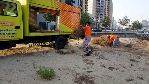 140 cleaners and 16 supervisory officials of Dubai Municipality were involved in the cleanup operations.