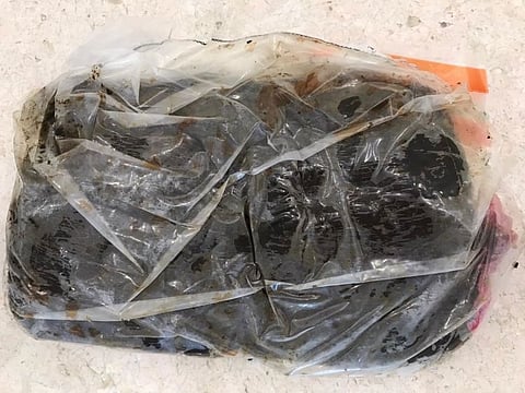 The fisherman's drug catch in Umm Al Quwain