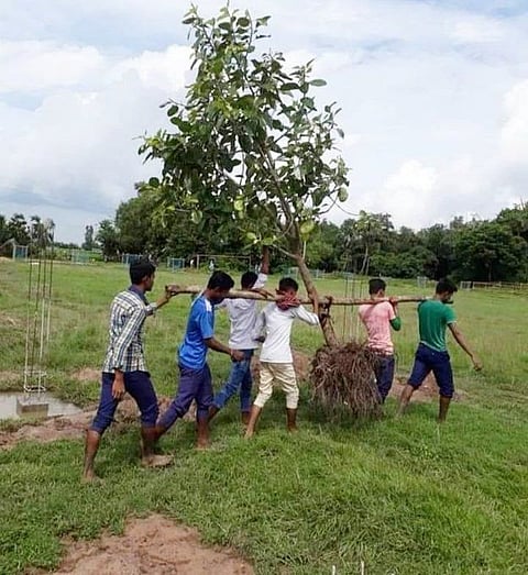 Youths carrying an uprooted tree to relocate at some safer places