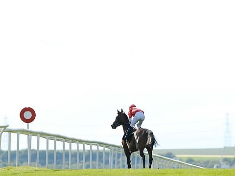 Newmarket is set for the July Festival