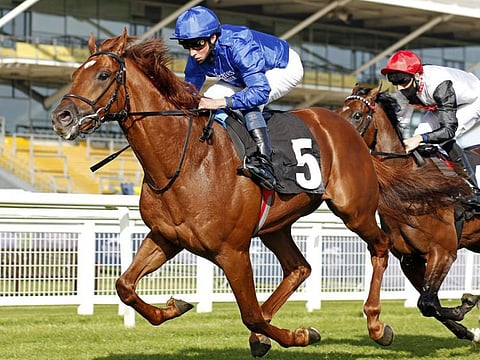 Godolphin's Yibir