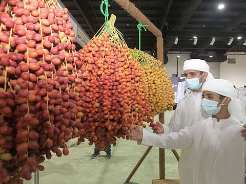 Visitors at the Al Dhaid Date Festival.