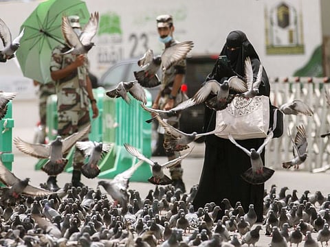 A Muslim pilgrim films pigeons outside the the Grand Mosque in the Saudi Arabia's holy city of Mecca, on July 22, 2021.