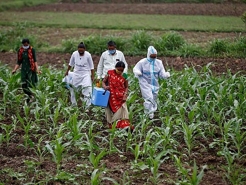 Healthcare workers carry a box containing COVISHIELD vaccine against coronavirus disease (COVID-19), manufactured by Serum Institute of India, as they walk through a field to vaccinate villagers during a door-to-door vaccination drive in Banaskantha district in the western state of Gujarat, India