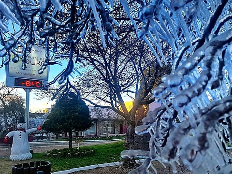 Ice covers trees at dawn during a cold snap in Sao Joaquim, Brazil.