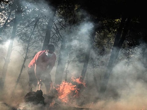 A local resident tries to contains fire in Thrakomakedones, near Mount Parnitha, north of Athens, on August 7, 2021. Hundreds of firefighters battled a blaze on the outskirts of Athens as several fires raged in Greece.