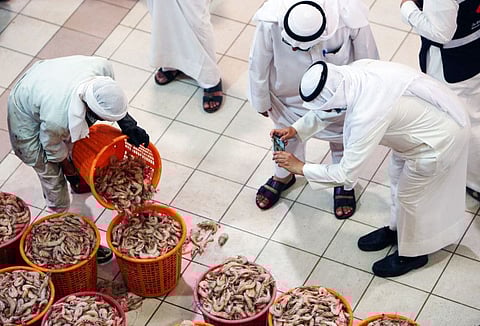 A man takes pictures of shrimps at a fish market in Kuwait City on August 8, 2021 as auctioning resumed in the country after six months of closure amid the coronavirus pandemic.