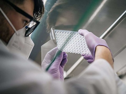 A laboratory technician analyses COVID-19 samples, during the polymerase chain reaction (PCR) preparation process, at the Genview Diagnosis lab on August 13, 2021 in Houston, Texas. Across the Houston metropolitan area, testing has significantly increased as the Delta variant overwhelms hospitals.