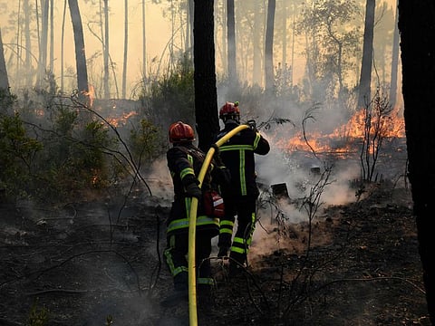 Firefighters spray water as they work on a wildfire, in a forest in Vidauban in the department of Var, southern France on August 18, 2021.