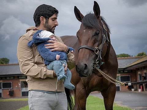 Sheikh Hamdan Bin Mohammed Bin Rashid Al Maktoum, Crown Prince of Dubai and Chairman of The Executive Council of Dubai, had posted this picture on his official Twitter account