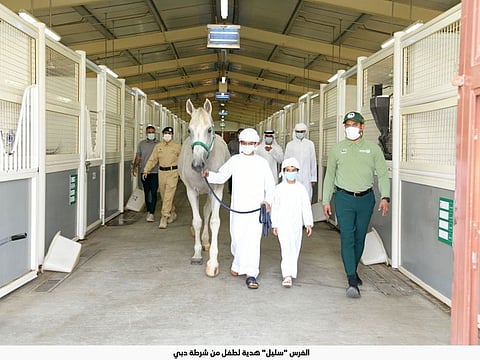 The 11 year old walking with his newly gifted horse