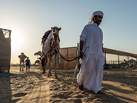 Abdullah Hamdan Bin Dalmook is regarded asan expert on UAE heritage and traditional sport.