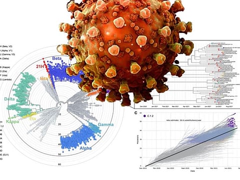 The C.1.2 variant has mutated substantially more than any other known COVID-19 variants, according to latest study.