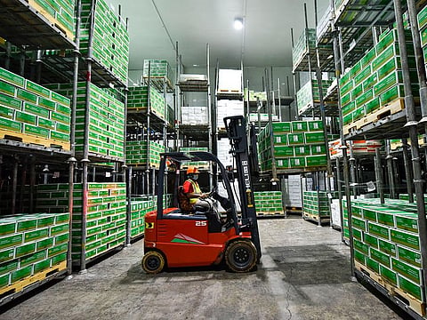 UAE orders were getting more orders coming through for businesses in January. And there was also a marginal drop in their cost of operations.