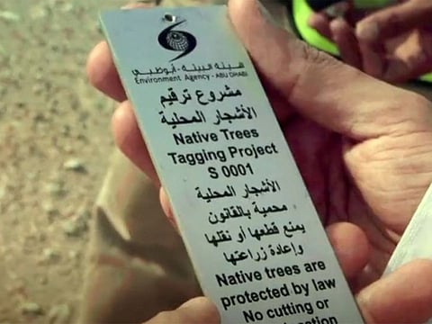 About 100,000 Ghaf and Samar trees will be identified and tagged during the Environment Agency — Abu Dhabi project.