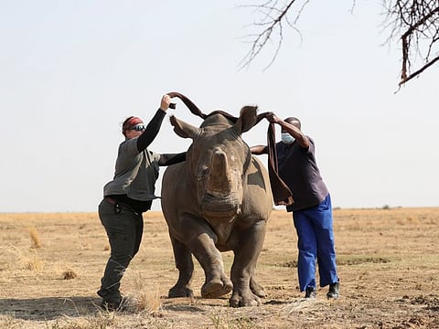 Photo for illustrative purpose.