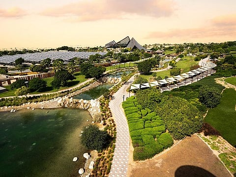 Overview of the sprawling Dubai Safari Park