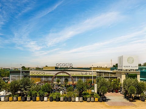 Acacia Garden Center