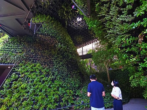 The lush green interiors of the Singapore Pavilion at Expo 2020 Dubai.