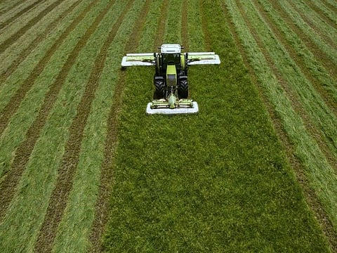 Fertiglobe profit spikes on urea price, margin gains with outlook "favourable"