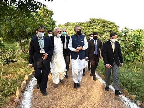 President Dr Arif Alvi visits Jinnah Urban Forest in Karachi after inaugurating it.