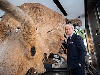 Photos: Remains of 'Big John', largest known triceratops, sells for $7.7 million