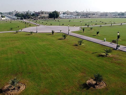 Al Nouf Park 2 in Muwaileh, Sharjah, is studded with newly-planted young trees and thousands of flowers