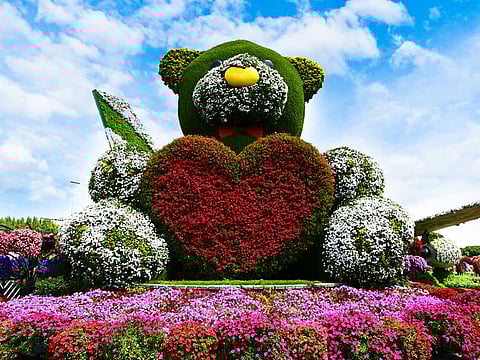 Dubai Miracle Garden Season 10