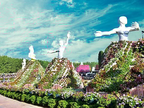 Dubai Miracle Garden has flowers and plants of more than 120 varieties, some of which are rare