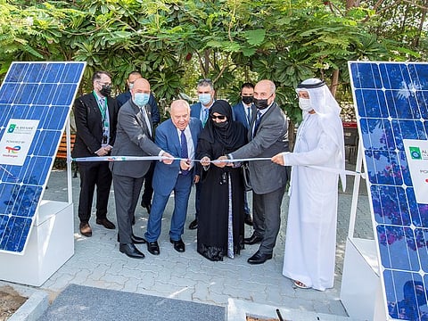 Rooftop solar panels are making a lot of business sense for businesses.