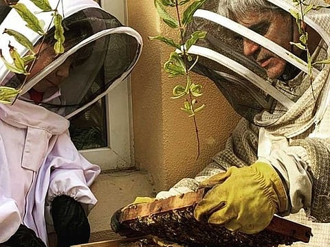 Treat bees with respect and they will respect you back, says this Dubai-based bee farm that produces pure, organic honey while caring for the bees