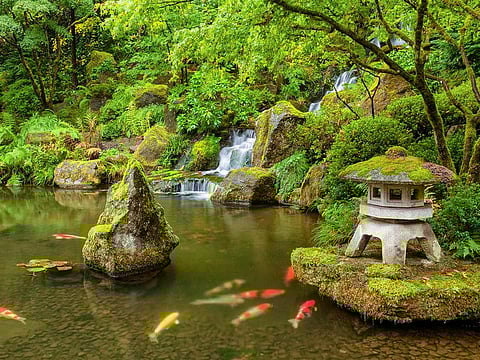 Wabi Sabi is an aesthetic philosophy that embraces the 'beauty of imperfection.' Wabi sabi influences many aspects of Japanese culture from garden to arts and culture. A wabi sabi based garden incorporates natural and manmade elements.